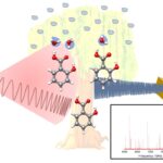Graphical Abstract (1)